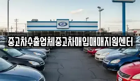 충청북도 충주시 동량면 중고차매입 전문 중고차수출업체중고차매입매매지원센터