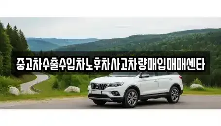 충청북도 충주시 문화동 중고차매매,단기렌트카,중고차매입,장기렌트카,중고차,렌트카
