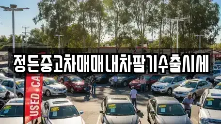 충청북도 충주시 엄정면 중고차 전문 정든중고차매매내차팔기수출시세