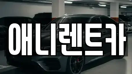 충청북도 충주시 충의동 렌트카 전문 애니렌트카
