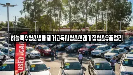 충청북도 충주시 충의동 중고차 전문 하늘특수청소냄새제거고독사청소쓰레기집청소유품정리