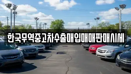 충청북도 충주시 충의동 중고차매매 전문 한국무역중고차수출매입매매판매시세