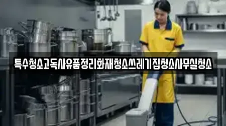 특수청소고독사유품정리화재청소쓰레기집청소사무실청소