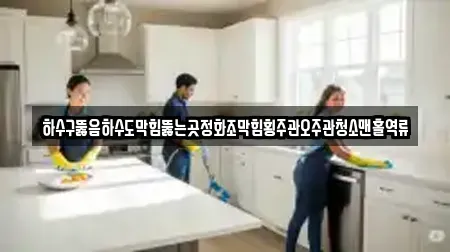 하수구뚫음하수도막힘뚫는곳정화조막힘횡주관오주관청소맨홀역류